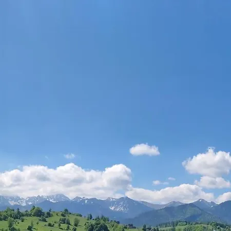 Gasienica Queen * Zakopane